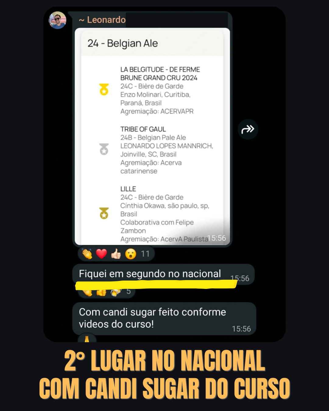 Print do grupo de alunos do curso de Belgas