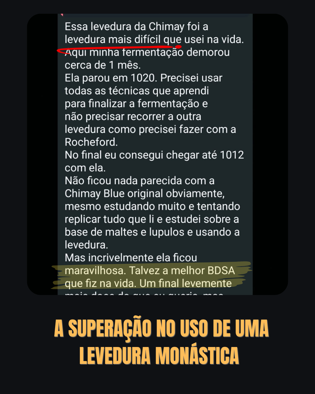 Print do grupo de alunos do curso de Belgas